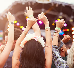 Crowd of people at a concert